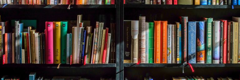 Shelves of multi-coloured books